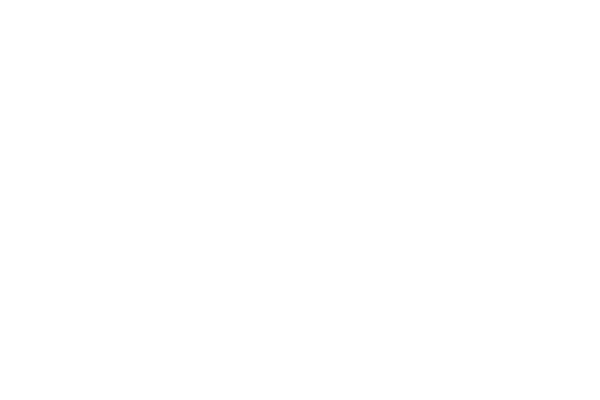 Partner Nordica Extraflame