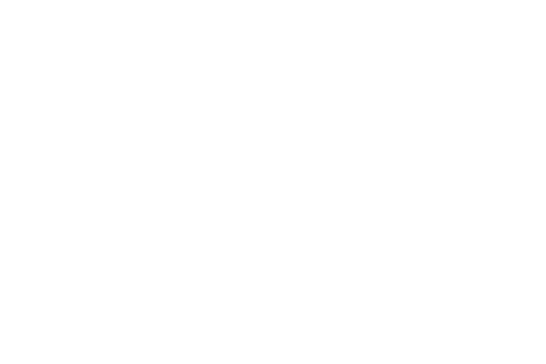 Partner Schiedel Kaminsanierung