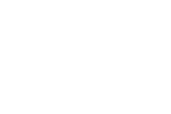 Partner Pertinger
