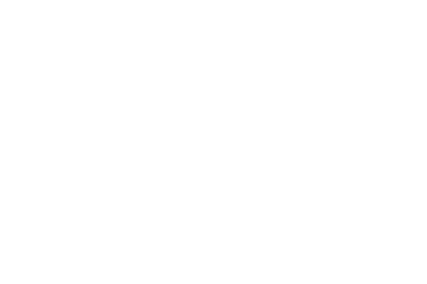 Partner Raab Gruppe
