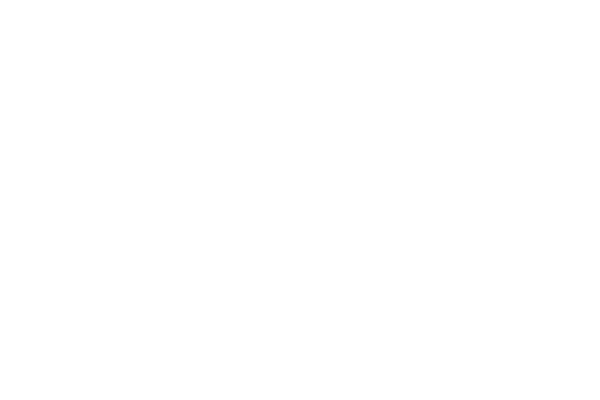 Partnerlogo Attika