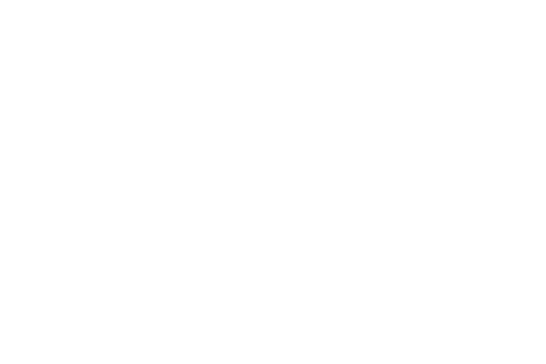 Partnerlogo Austroflamm