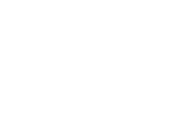 Partnerlogo Focus