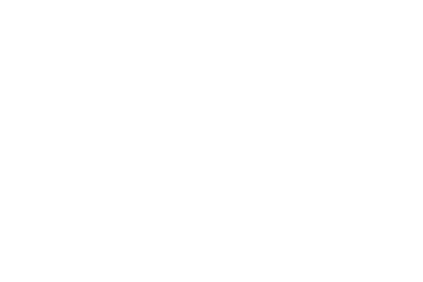 Partnerlogo Spartherm