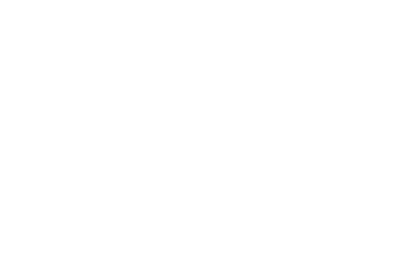 Partnerlogo Wodtke